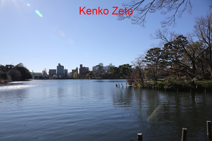 Kenko Zeta