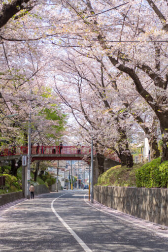 桜坂