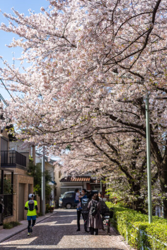 桜坂