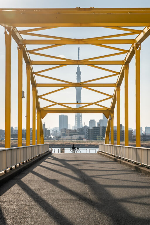 黄色い橋と天空木