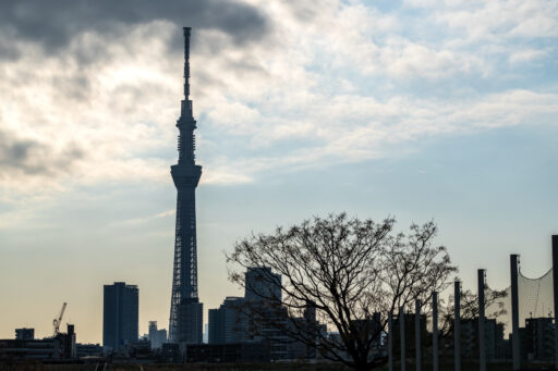 黄色い橋と天空木