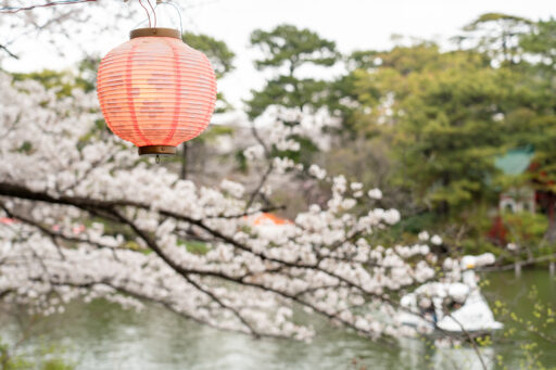 桜満つ