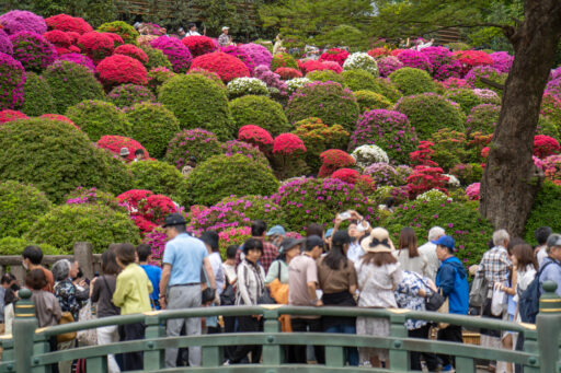 根津神社