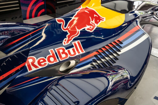 Red Bull X2010