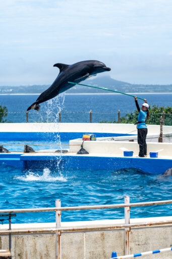 沖縄美ら海水族館