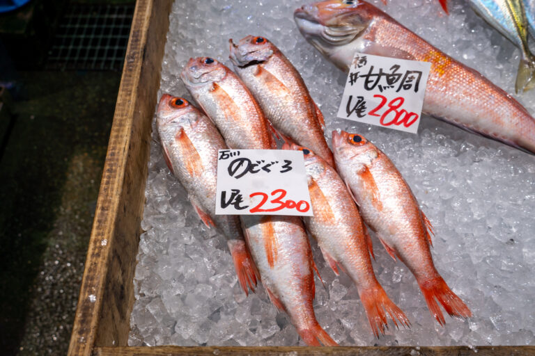 金沢港いきいき市場