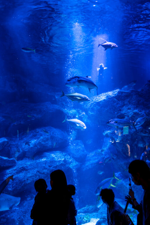 すみだ水族館