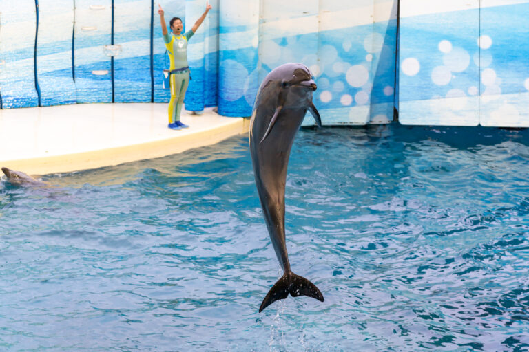 新江ノ島水族館