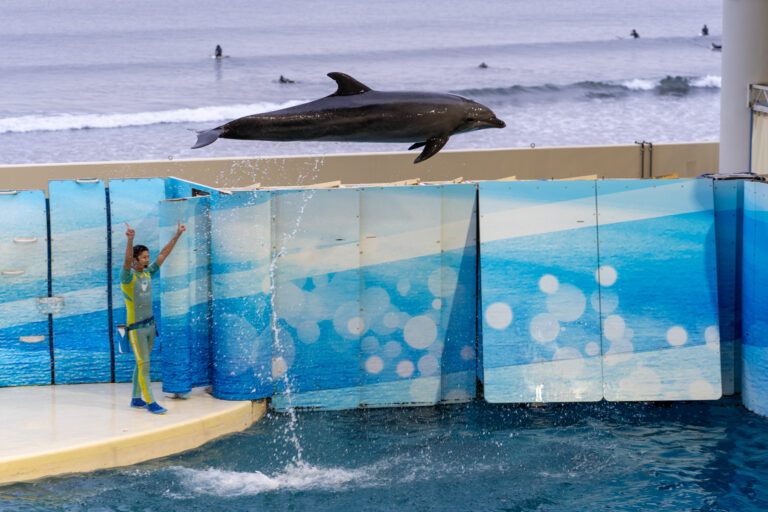 新江ノ島水族館