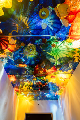 富山市ガラス美術館
