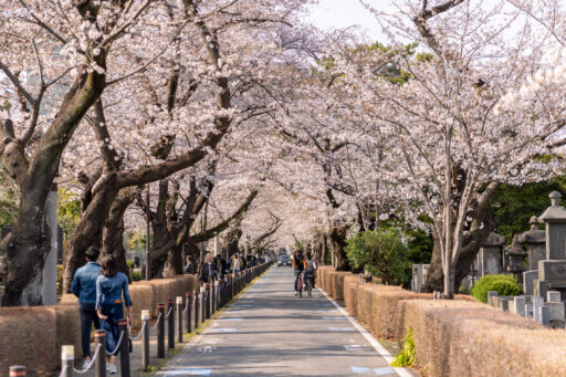 青山霊園