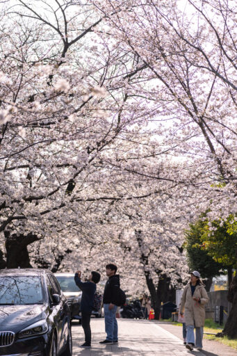 青山霊園