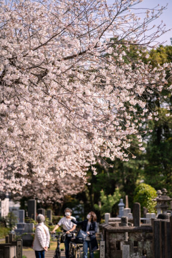 青山霊園