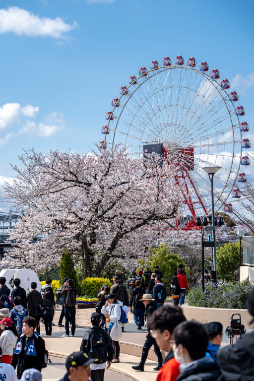 SUZUKA 2025