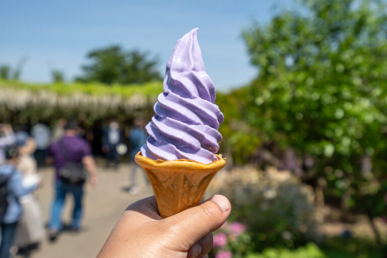 あしかがフラワーパーク