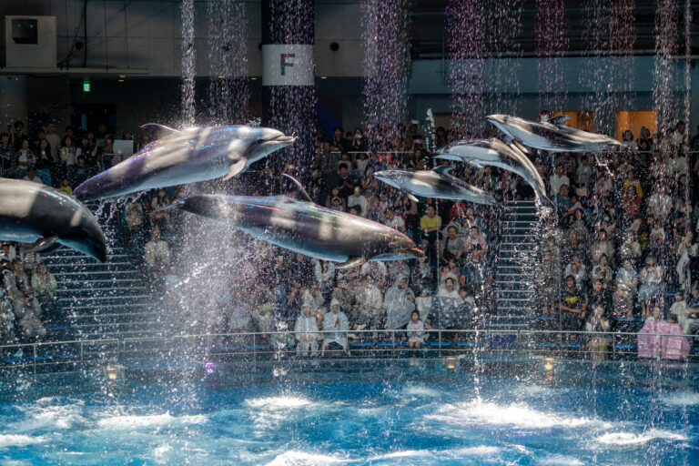 AQUA PARK
