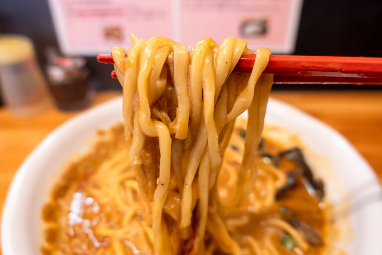 種実担々麺 菊川