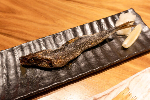 ワンランク上の世界の山ちゃん