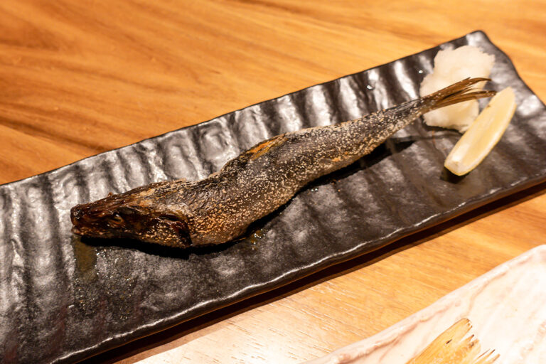 ワンランク上の世界の山ちゃん