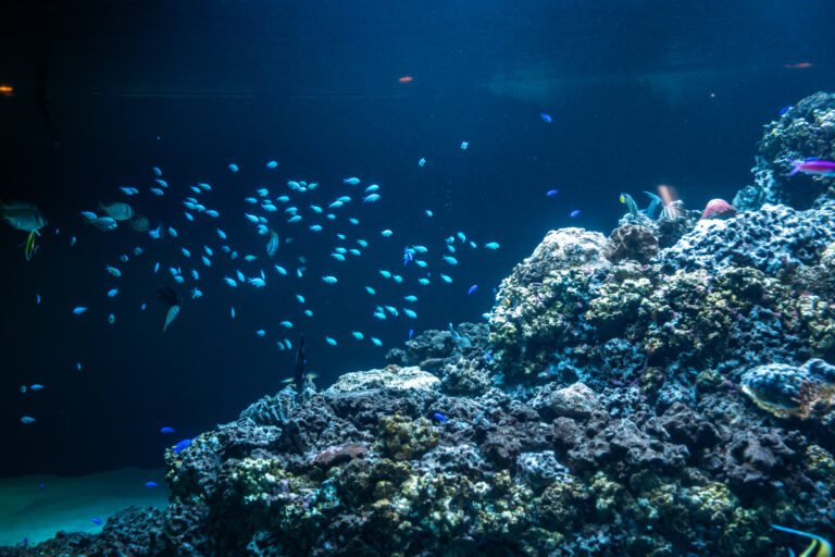 葛西臨海水族園
