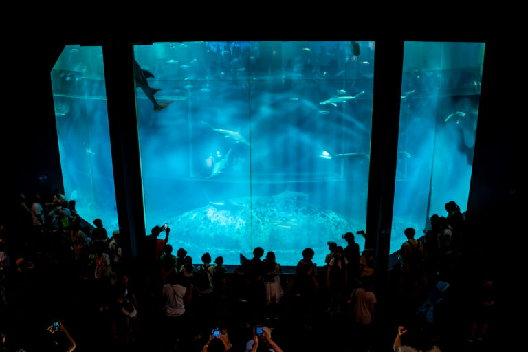 葛西臨海水族園