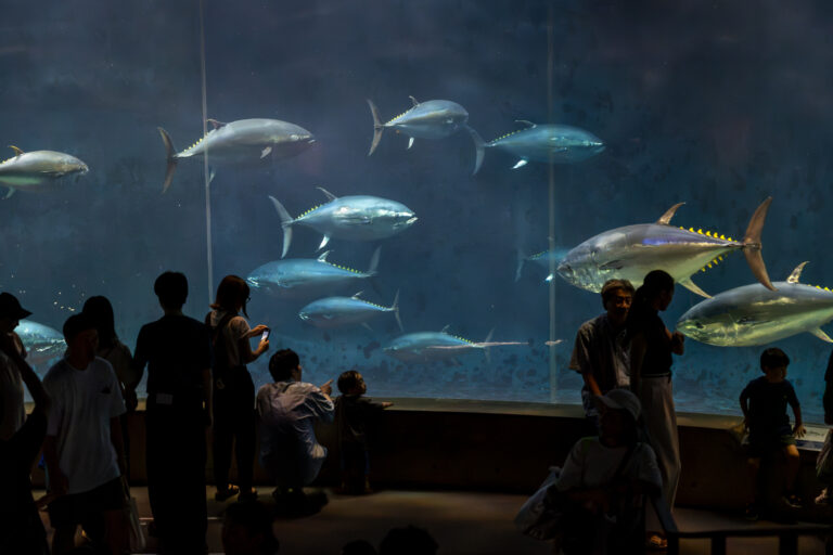 葛西臨海水族園