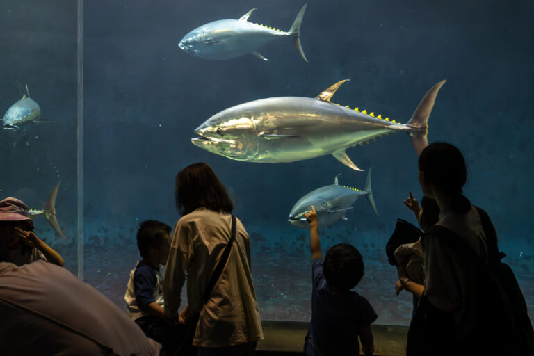 葛西臨海水族園