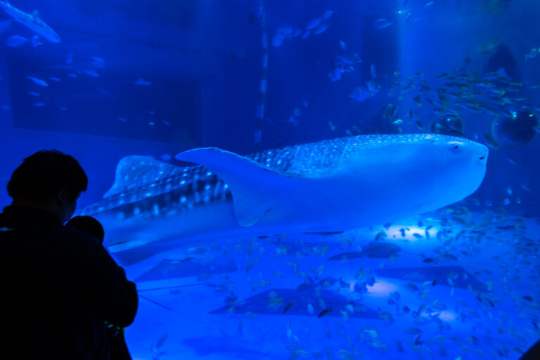 のとじま水族館