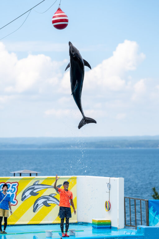 のとじま水族館