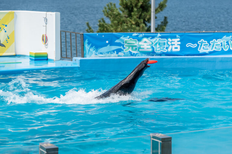 のとじま水族館