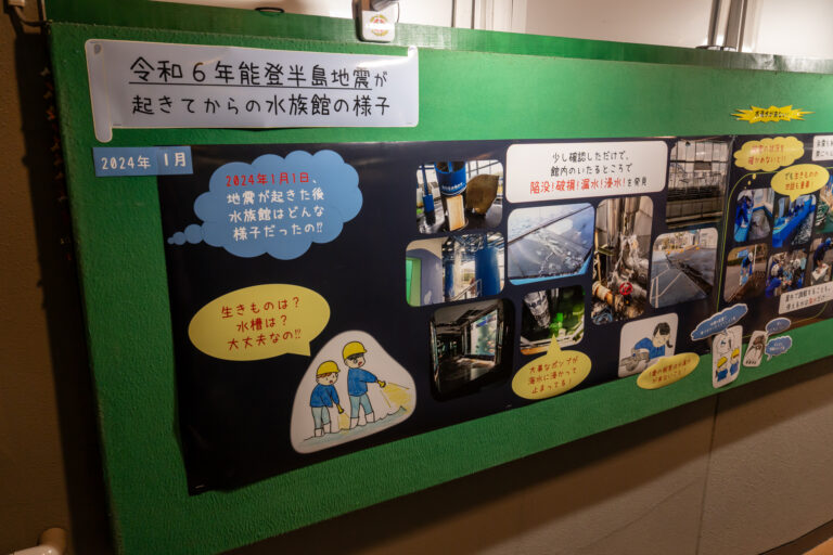 のとじま水族館