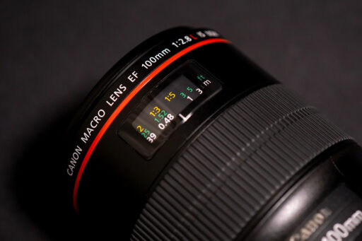 Canon EF100mm F2.8L MACRO IS USM