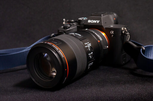 Canon EF100mm F2.8L MACRO IS USM