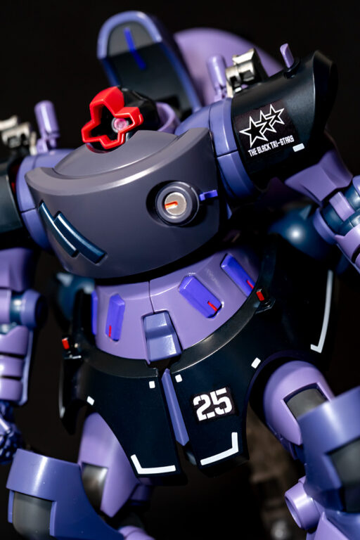 HG リック・ドム ガイア機(GQ)