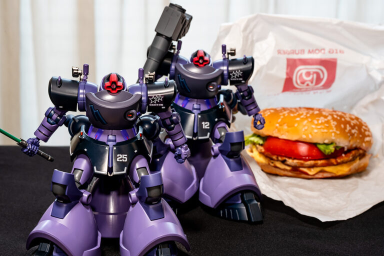 HG リック・ドム ガイア機/オルテガ機(GQ)