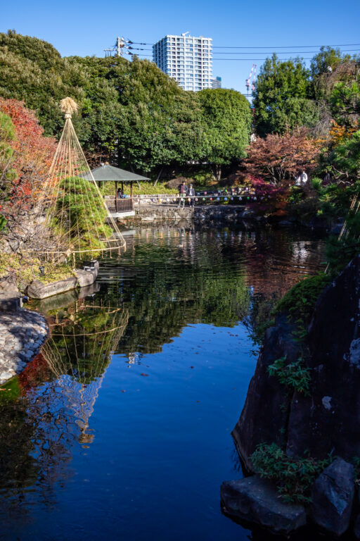 晩秋の目白庭園