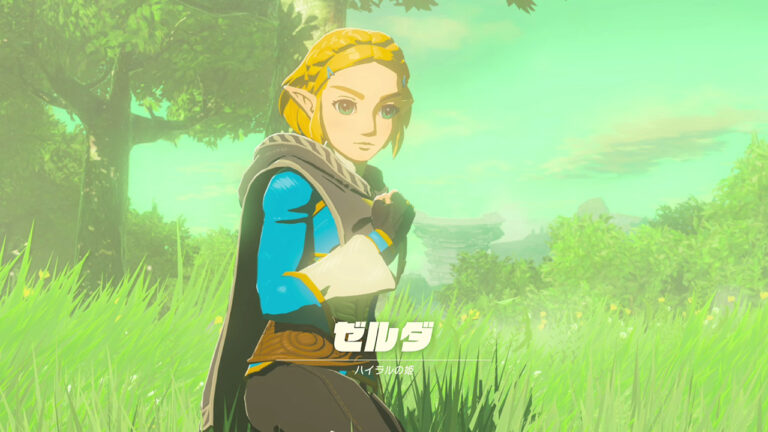 ゼルダ無双 封印戦記