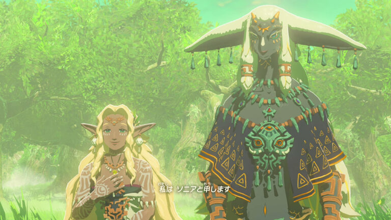 ゼルダ無双 封印戦記