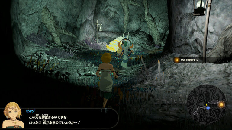 ゼルダ無双 封印戦記