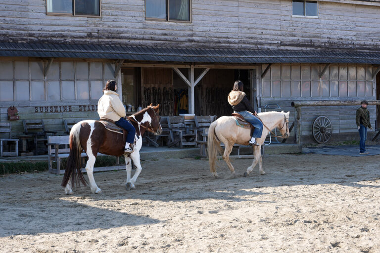 ザ・マベリック