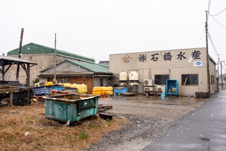 サンライズソルト