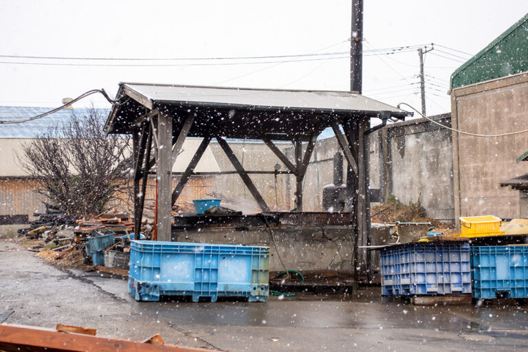 サンライズソルト