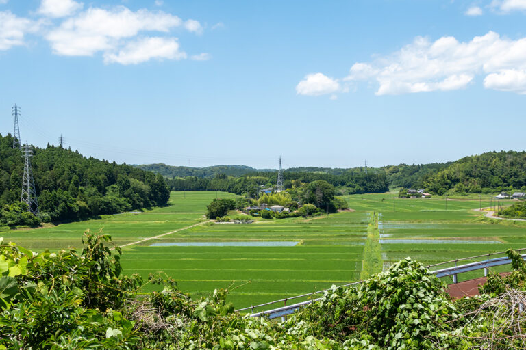 高滝