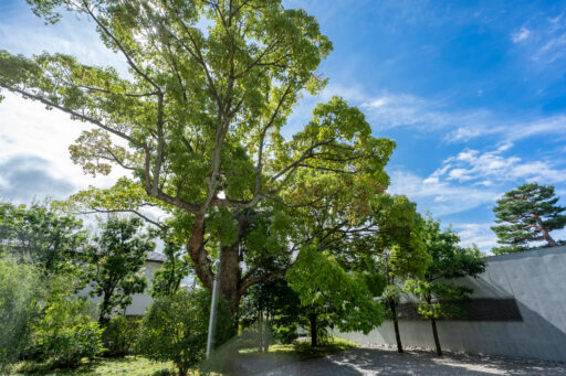鈴木大拙館