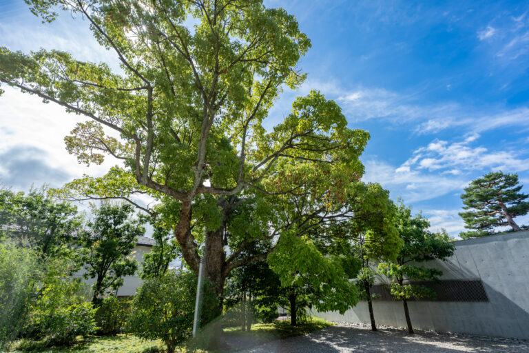 鈴木大拙館