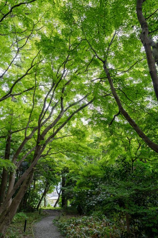 金沢