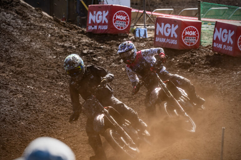 Roost Chasers