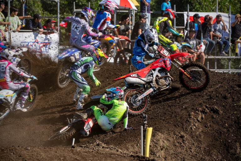 Roost Chasers